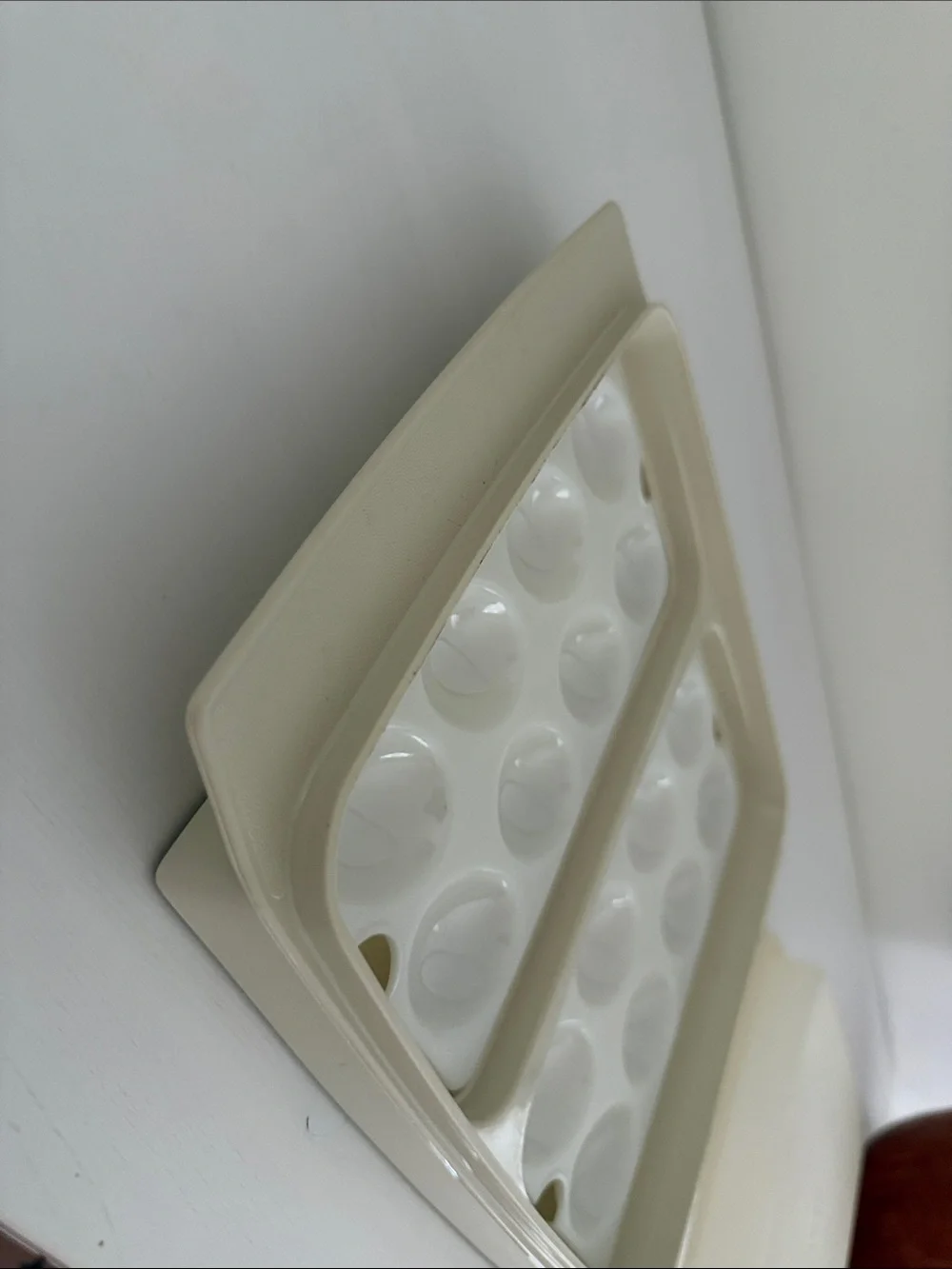Deviled Egg Storage Container - Home Storage & Organization
